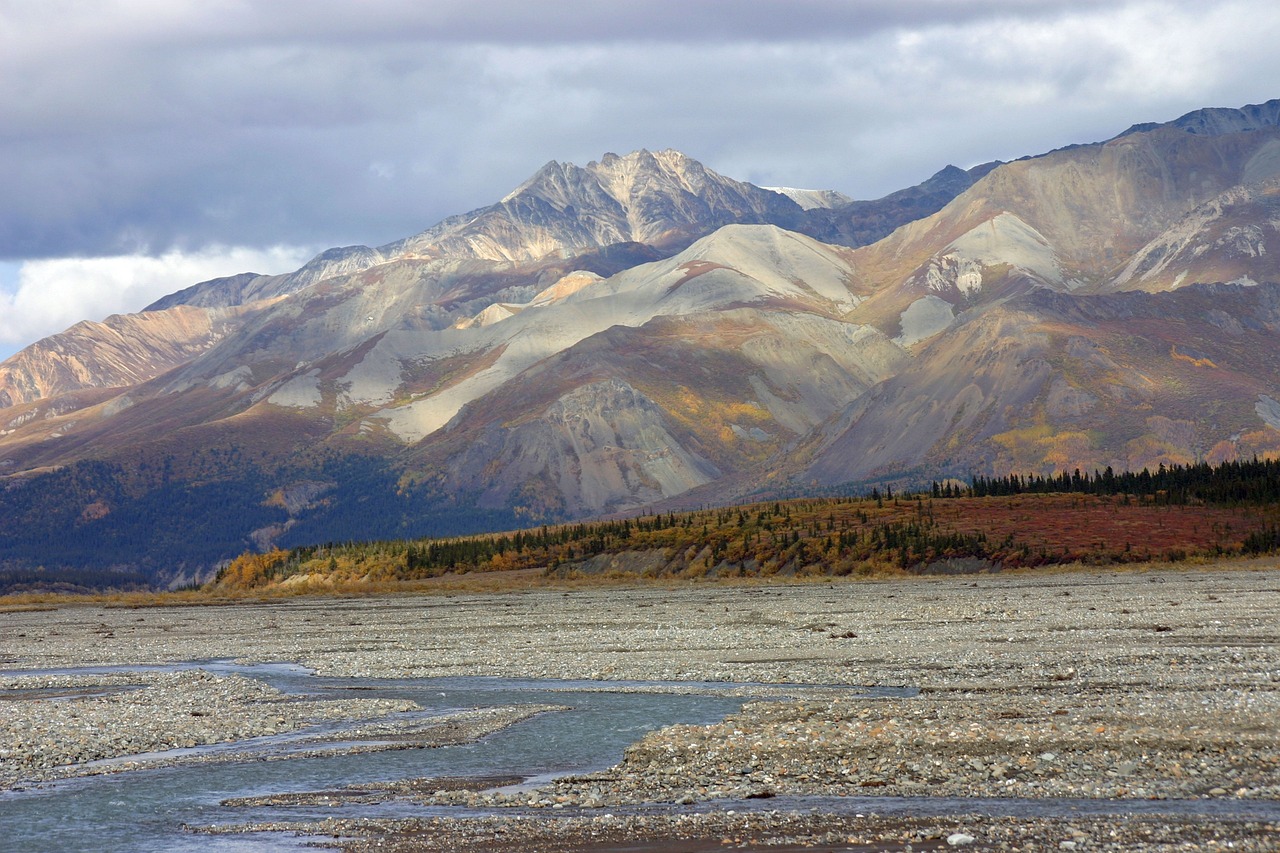 Threats to Biodiversity in the Arctic Tundra